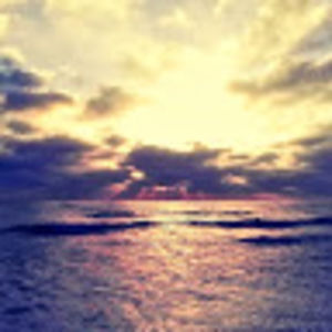 Meet your Posher, Genevieve